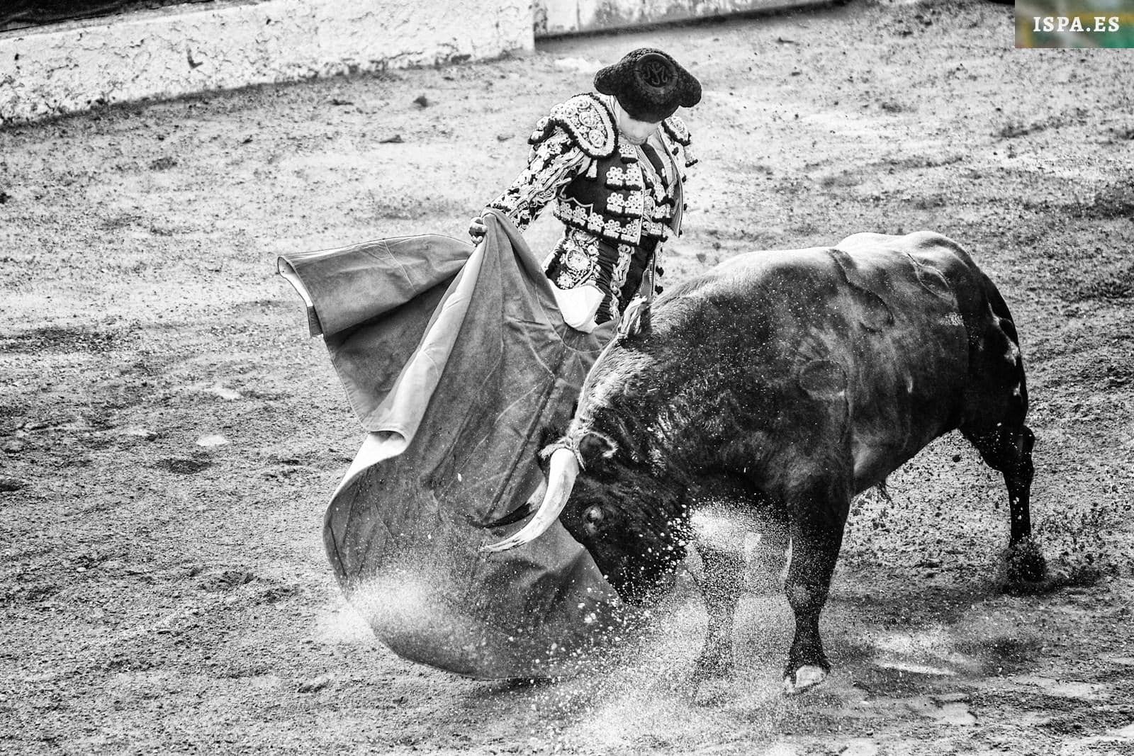 grayscale photo of matador and bull