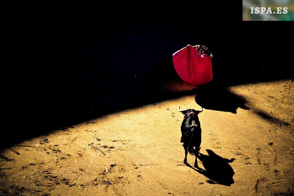 man holding red textile in front of black bull